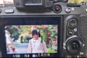 告别文献一团麻！手把手教你用Zotero 7把学术资料收拾得服服帖帖