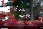 小小白怎么样才能不再被信息淹没？从零开始的整理心法