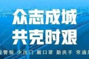 全时内容整理的秘密武器：告别混乱，让你高效得不像话