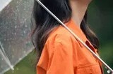 李沁撑伞漫步林间如诗画，烟雨朦胧中展露多变气质