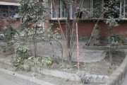 153号段怎么样？俺用了三年，掏心窝子唠唠这事儿！