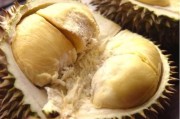 别慌！吃榴莲喝牛奶到底会怎样？真相全在这了