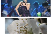 从信息焦虑到思路清晰：普通人如何像整理达人一样高效管理内容