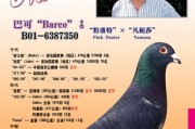 巴可到底怎么样？从会议室到光影秀，这家比利时老牌企业的硬核实力藏不住了