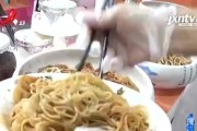 新手爸妈福音！爱的米米粉怎么样？一篇文章讲透它的好