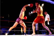 男散打怎么样？从实战技巧到游戏体验的全方位解析