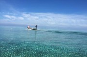 大海，不止是诗和远方：你需要知道的关于海洋的一切