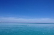 标题：真有人敢喝海水？听完海边老人的故事，后背发凉！