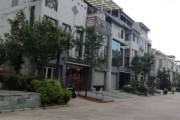 今儿咱来唠唠“乐上”这个牌子到底咋样