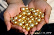 珍珠里的“黄金”：菲律宾金珠为啥这么让人着迷？
