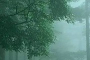 一场“润物细无声”的春雨：这样的雨，才是春天最灵动的馈赠