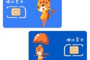 哎呦我去，这张“大王卡”到底是个啥玩意儿？全网吹得神乎其神，真用起来会不会是“坑王卡”？