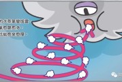 别让生活“忙盲茫”！跟整理大神阿达学，四周找回清爽人生