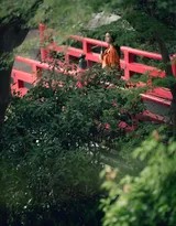 李沁撑着雨伞在布满青苔的石阶上向前行走，背影纤巧，橘色外套成为苍翠林间一抹温暖的亮色，意境悠远