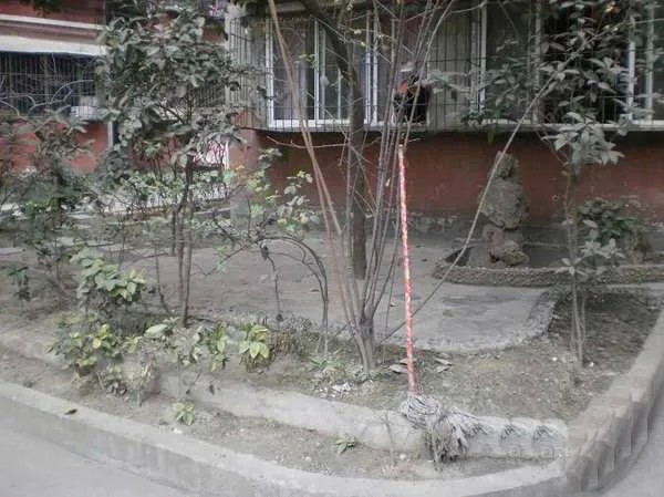 153号段怎么样？俺用了三年，掏心窝子唠唠这事儿！