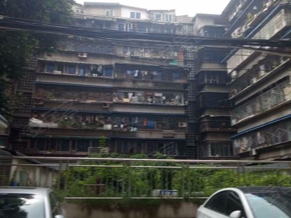 181号段到底咋样？老用户跟你唠点实在的