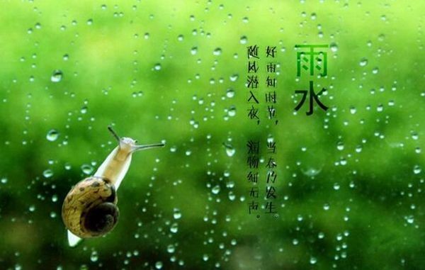 一场“润物细无声”的春雨：这样的雨，才是春天最灵动的馈赠