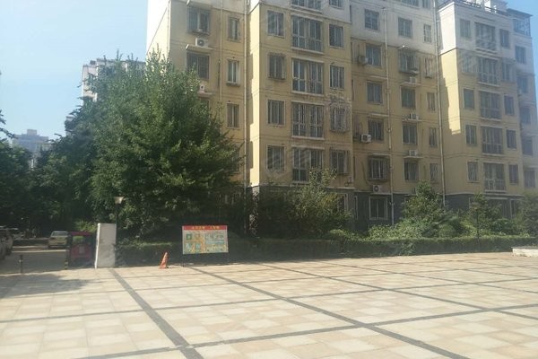 世纪福怎么样？茶叶老字号与健康新势力的双重奏