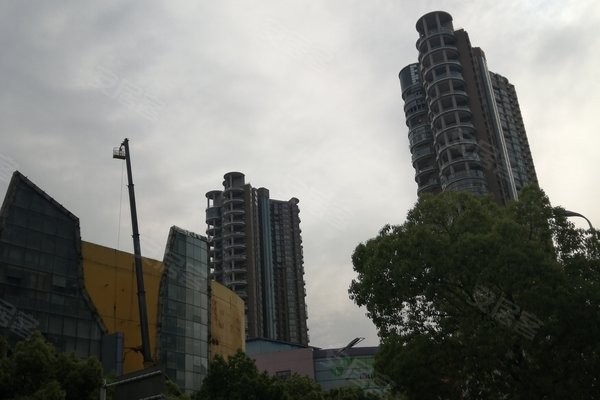 世纪福怎么样？茶叶老字号与健康新势力的双重奏