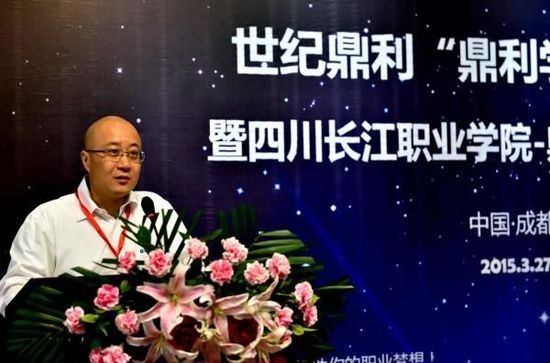 世纪鼎利怎么样？双主业发展下的挑战与机遇分析