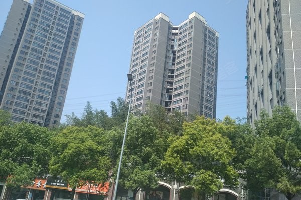 中维怎么样？这可能是你最想知道的答案