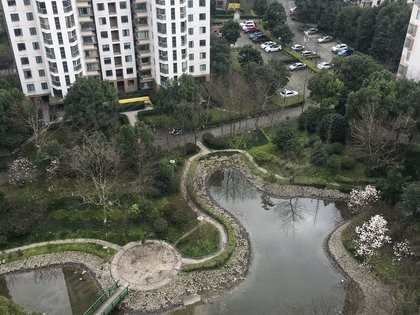 五元素平板到底怎么样？用家真实体验告诉你值不值得买