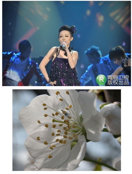 从信息焦虑到思路清晰：普通人如何像整理达人一样高效管理内容