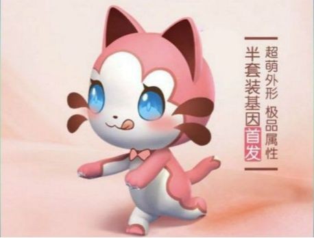 倾心是怎么帮咱们把生活碎片整理成幸福拼图的？