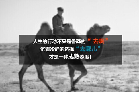 别了，驴妈妈：一个时代记忆的褪色与给旅行者的真实提醒