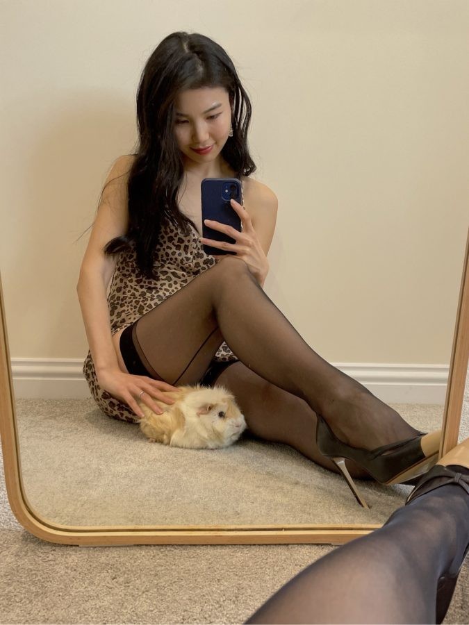 宠物鼠特写镜头，毛色光滑眼睛明亮，在美女手中展现乖巧可爱模样