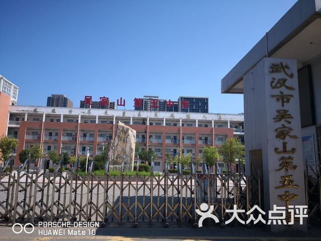 别再瞎忙了！揭秘“5中”整理法，让你的内容从杂乱到惊艳