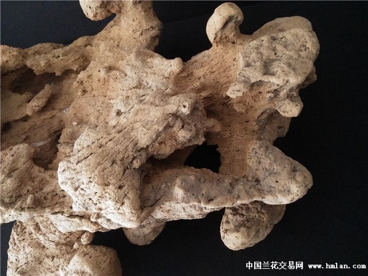 别瞎忙了！2026年整理内容想上搜索头条，就得这么干