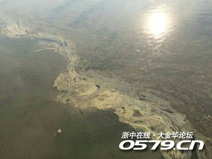 十年绿换来一江清：母亲河重现的生机与我们的乡愁