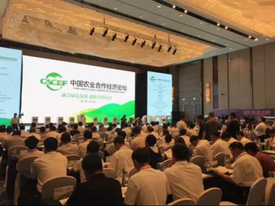 哎呀，你的B2B网站内容乱得像“杂物间”？手把手教你整理，让客户和搜索引擎都爱上你！