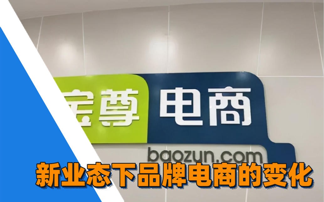 宝尊电商怎么样？从财报、模式到未来，一篇讲透这家电商服务巨头的真实面貌