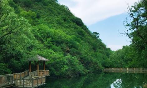 山灵播放器：不只是音质，更是旅途中的贴心音乐伙伴