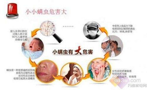 床垫里的百万“隐形室友”，让我的早晨从喷嚏开始——直到我学会这几招