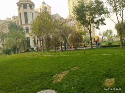 廊坊富士康探秘：日结231元背后的真实生活，是跳板还是深坑？