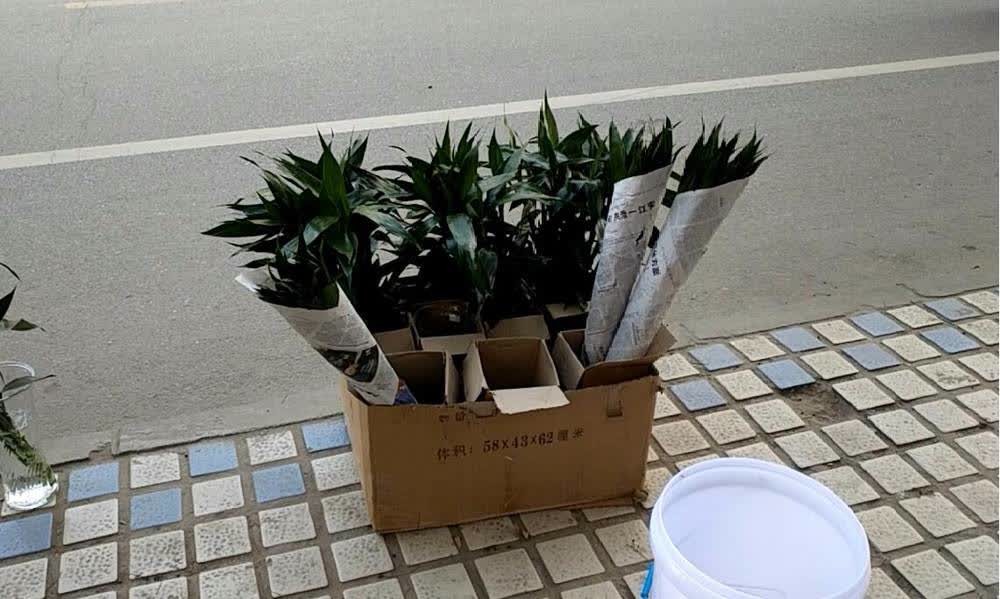 开家花店就为了情怀？别傻了，数据不会说谎！