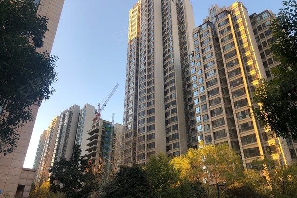 悟空找房怎么样？我用亲身经历告诉你找房“零佣金”是啥感觉