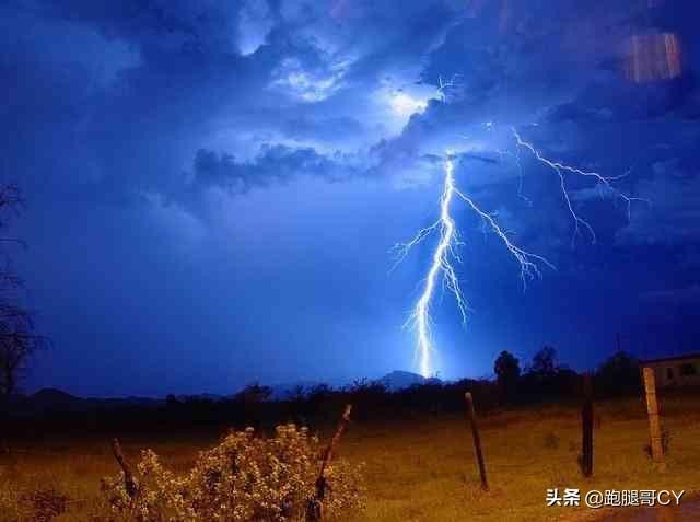 打雷天玩手机？别拿小命开玩笑！嘿，您还真得听听这些大实话！
