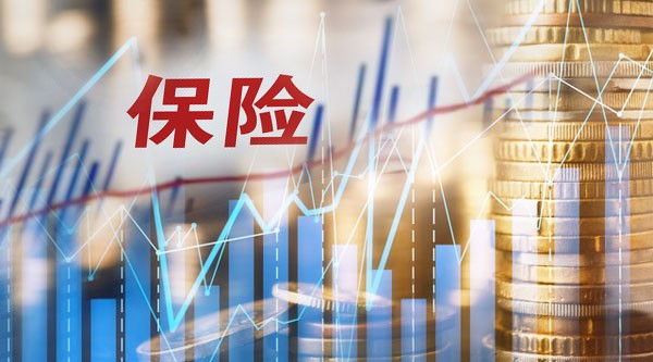 投资部信息整理真经：从资料海洋到决策金矿的实战指南