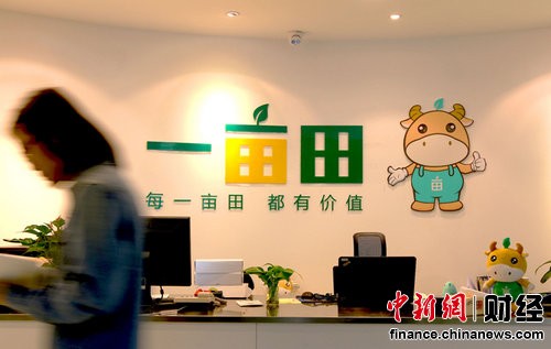 探秘一亩田：看这个农业平台，咋就让老乡们的菜卖爆了？