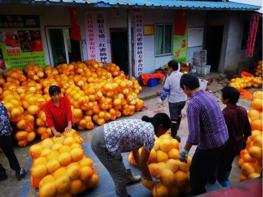 探秘一亩田：看这个农业平台，咋就让老乡们的菜卖爆了？