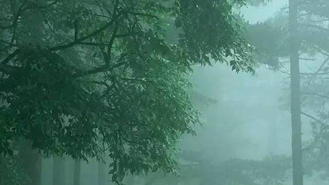 整理“春雨”：从润物无声到数据赋能的跨界启示