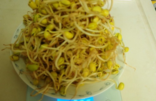 标题：豆发怎么样？俺亲测后跟你唠唠这玩意儿的真实体验！