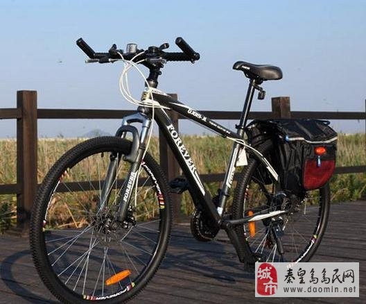 永久山地车到底怎么样？老骑手跟你唠点实在的，买车养车少走弯路！