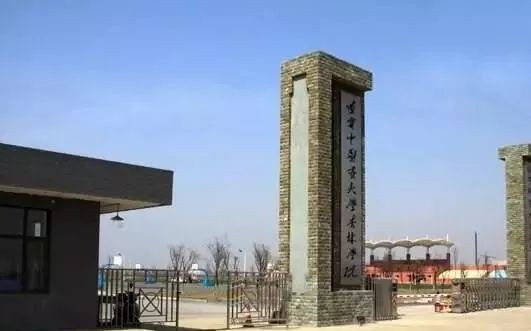 沈阳东软云科技怎么样？这家老牌IT巨头的转型之路与真实面貌