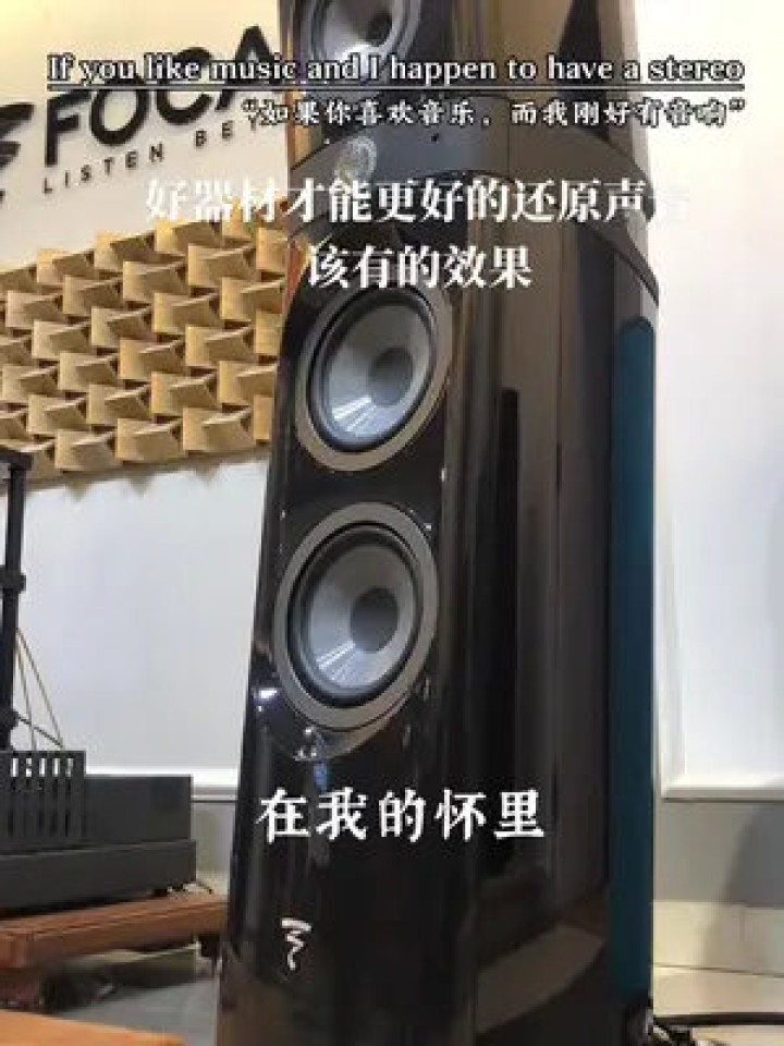 沉浸式体验法国劲浪音响：是听觉奢侈品还是真材实料的“耳朵盛宴”？