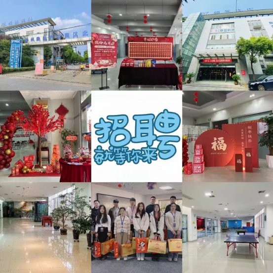 泰安泰盈科技怎么样？这家藏在客服电话背后的“隐形冠军”有点东西